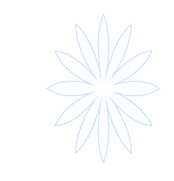 摩登体育(中国区)官方直营平台